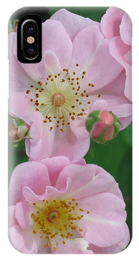 Knockout Roses iPhone X Case featuring the photograph Pink roses by HEVi FineArt