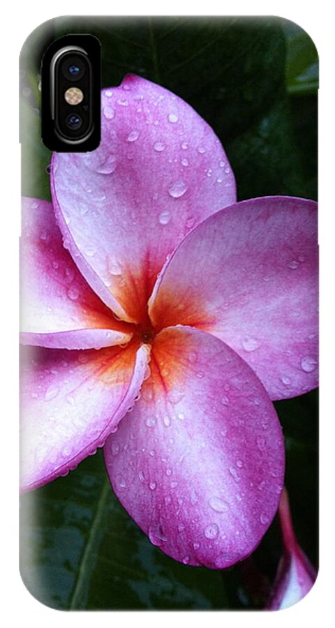 Plumeria iPhone X Case featuring the photograph Plumeria with Raindrops by Angela Bushman