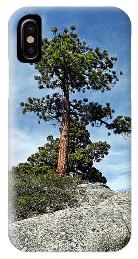 Beauty In Nature iPhone X Case featuring the photograph Ponderosa Pine and Granite Boulders by Jeff Goulden