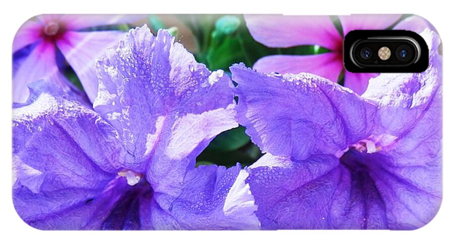Purple iPhone X Case featuring the photograph Popping Purple Petals Beauty by Belinda Lee