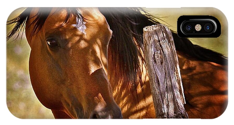 Horse iPhone X Case featuring the photograph Portrait of Tashtego by Gus McCrea