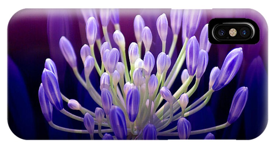 Agapanthus iPhone X Case featuring the photograph Praise by Holly Kempe