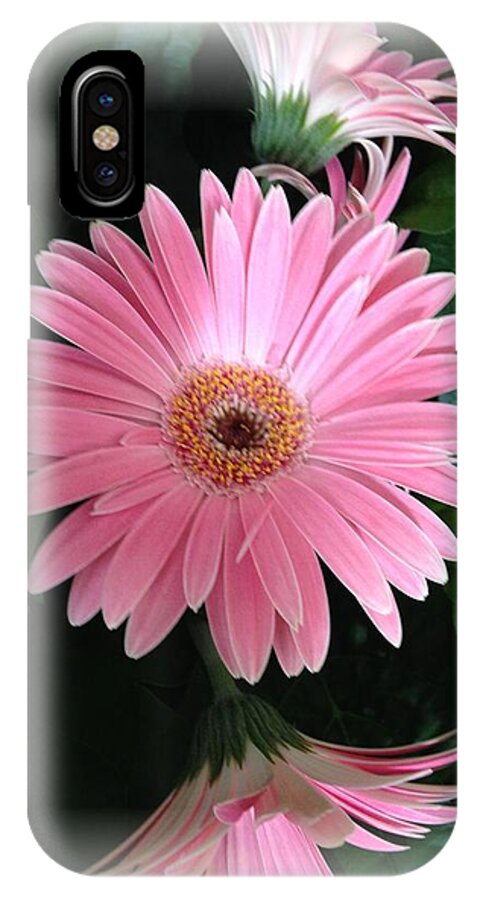 Pink Daisies iPhone X Case featuring the photograph Pretty In Pink by Marian Lonzetta