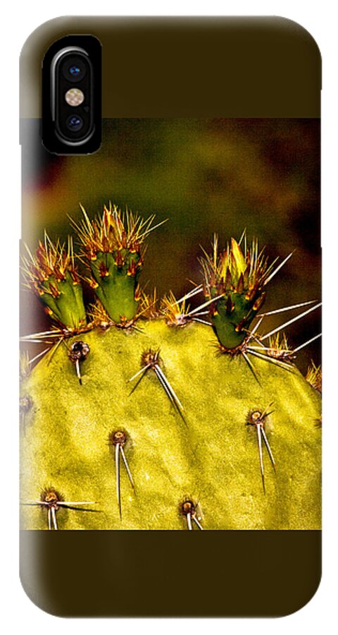 Prickly Pear iPhone X Case featuring the photograph Prickly Pear Spring by Roger Passman