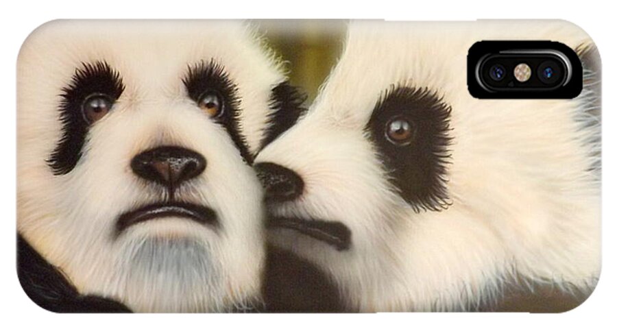 Pandas iPhone X Case featuring the painting Pssst... by Darren Robinson