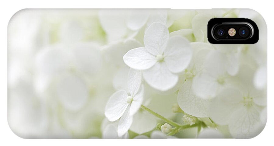 Hydrangea iPhone X Case featuring the photograph Purity by Patty Colabuono
