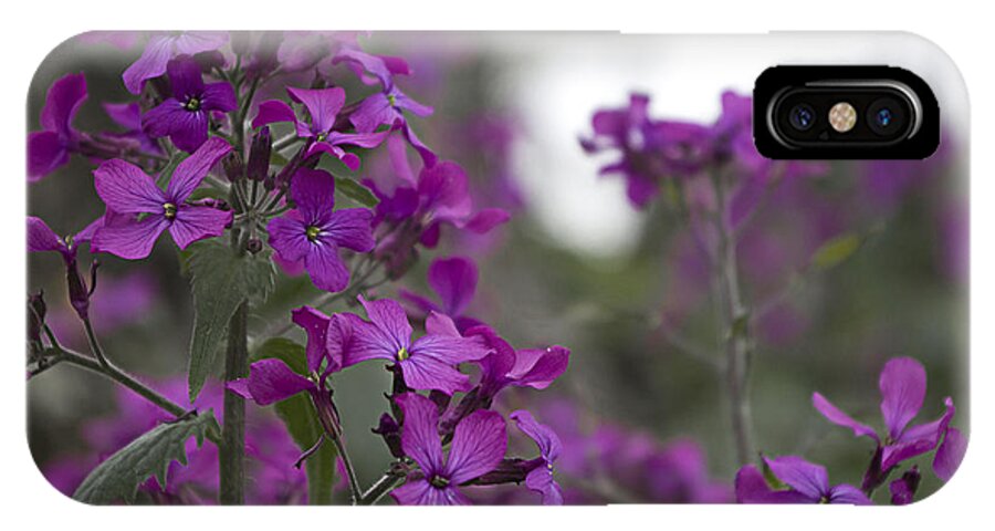 Purple Flowers iPhone X Case featuring the photograph Purple Flowers by Sharon Popek