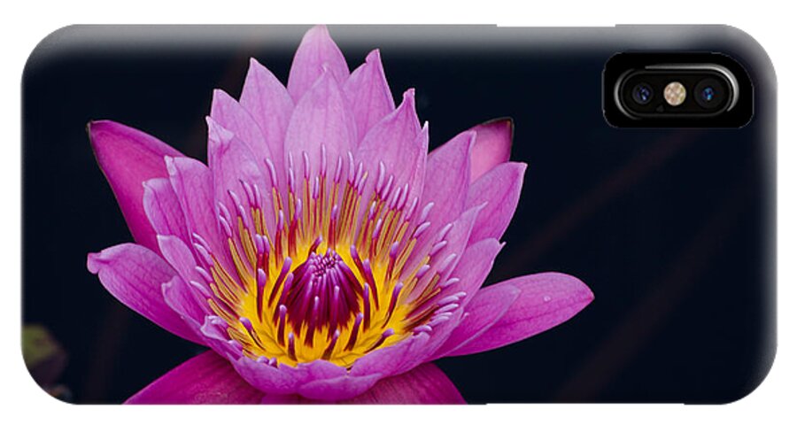 Flower iPhone X Case featuring the photograph Purple Lotus Flower by Jim Shackett