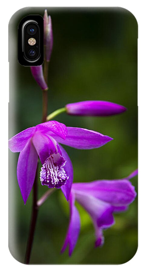Orchid iPhone X Case featuring the photograph Purple Orchid by Raffaella Lunelli
