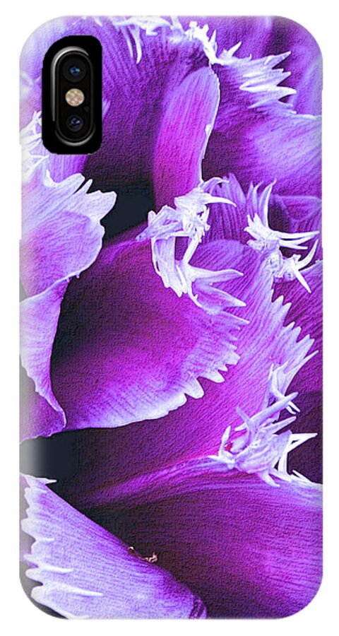 Flower iPhone X Case featuring the photograph Purple Perfection by Nadalyn Larsen