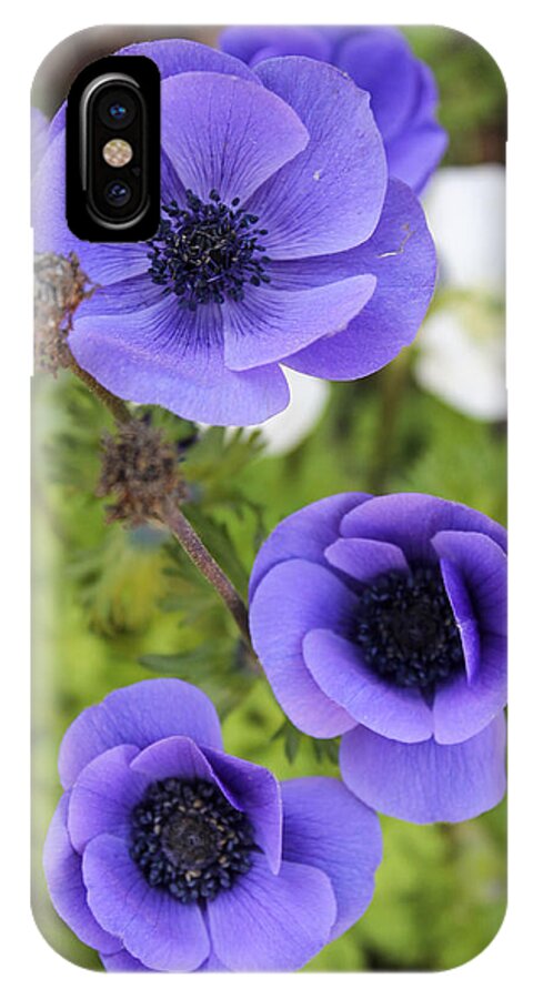 Purple Flowers iPhone X Case featuring the photograph Purple Power by Hannah Miller