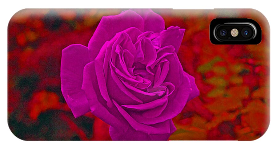 Rose iPhone X Case featuring the photograph Purple Rose by Simon Kennedy