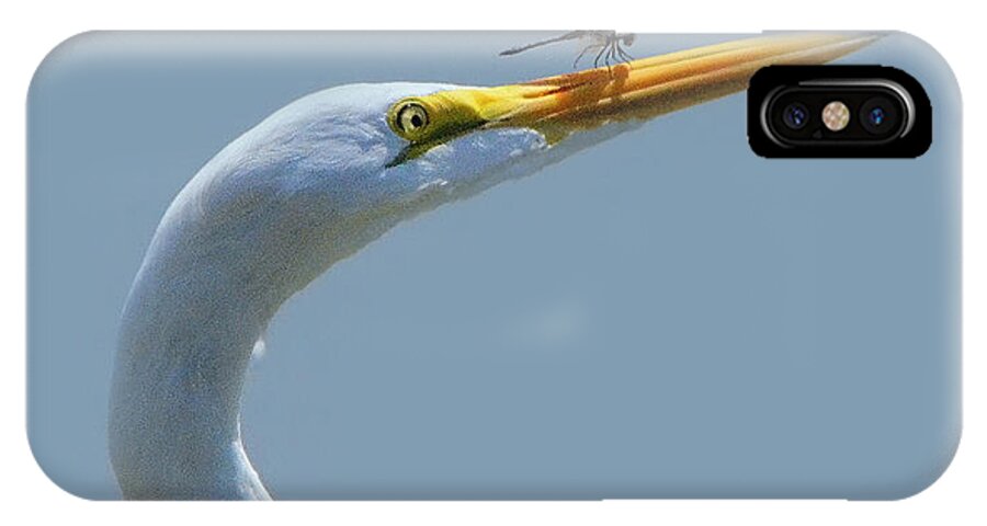 Egret iPhone X Case featuring the photograph Pushing The Limits by Charlotte Schafer