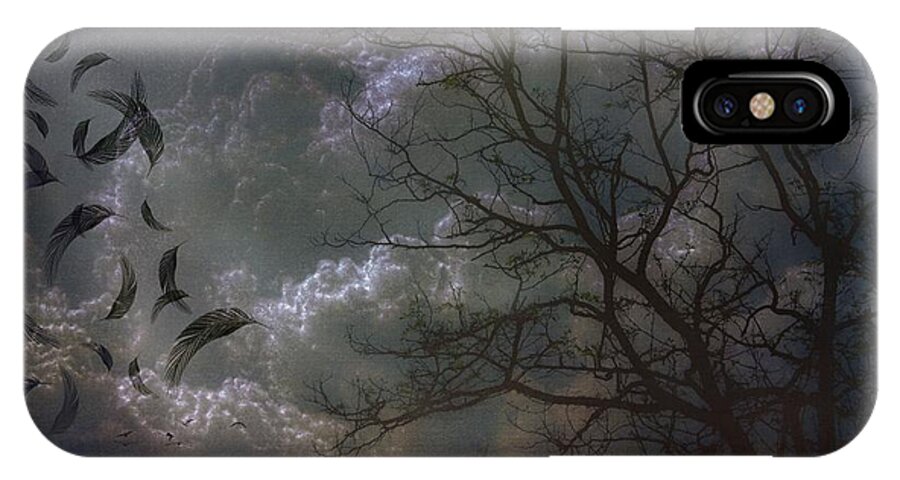 Storm iPhone X Case featuring the photograph Quiet After the Storm by Mimulux Patricia No