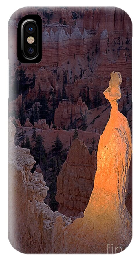 Autumn iPhone X Case featuring the photograph Rabbit Sunset Point Bryce Canyon National Park by Fred Stearns