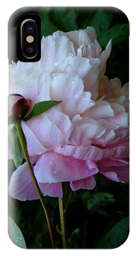 Peony iPhone X Case featuring the photograph Rain-soaked Peonies by Rona Black