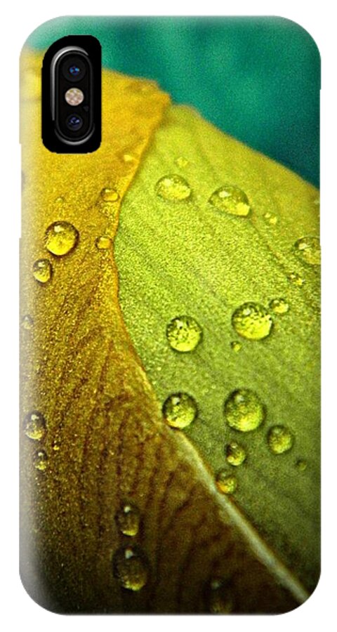 Nature iPhone X Case featuring the photograph Rain Wrapped by Chris Berry