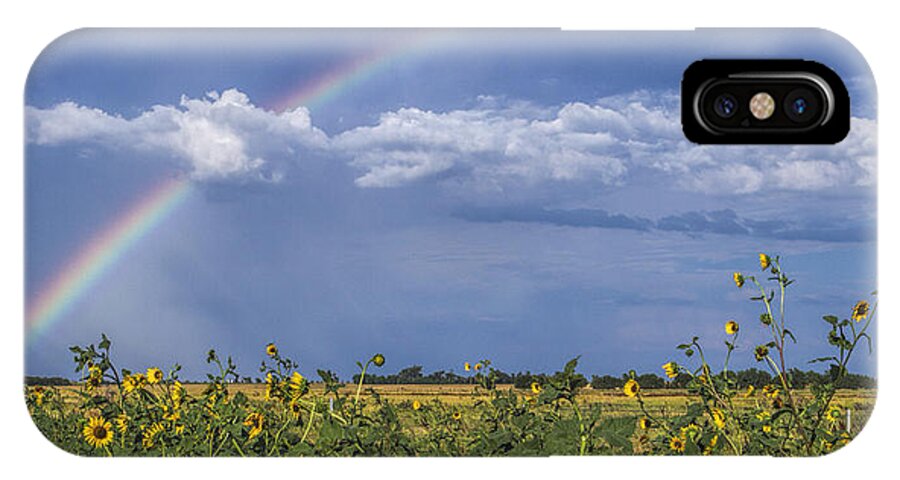 Kansas iPhone X Case featuring the photograph Rainbow over sunflowers by Rob Graham