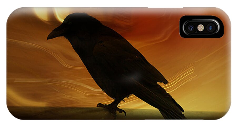 Raven iPhone X Case featuring the photograph Raven by Jacklyn Duryea Fraizer