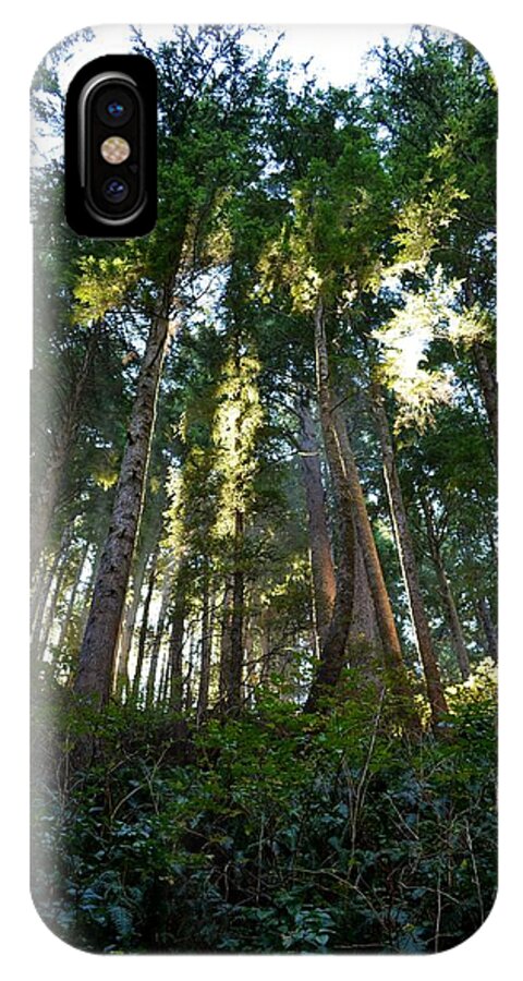 Old Growth iPhone X Case featuring the photograph Reach for the Sky by Laureen Murtha Menzl