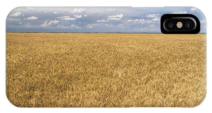 Kansas iPhone X Case featuring the photograph Ready to Harvest by Rob Graham