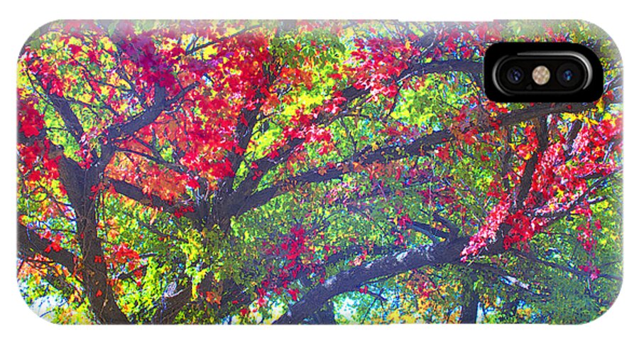 Autumn iPhone X Case featuring the photograph Red #1 by Kathy Besthorn