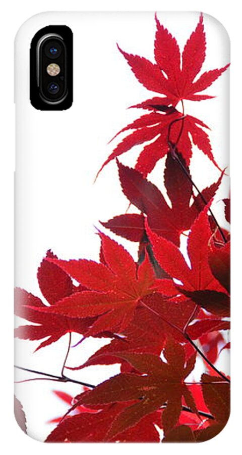 Foliage iPhone X Case featuring the photograph Red and White by Debra Martz