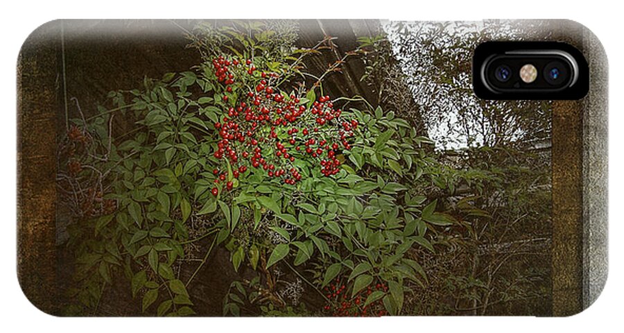 Nature iPhone X Case featuring the photograph Red Berries by Phil Clark