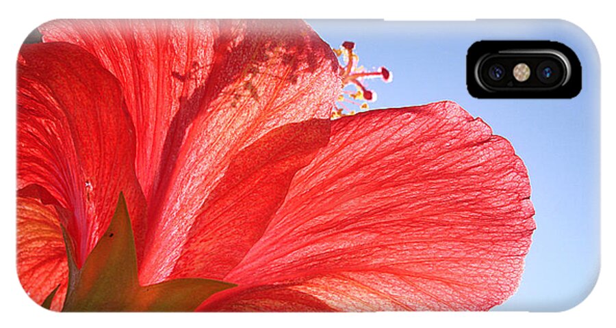 Red iPhone X Case featuring the photograph Red Flower in the Sun by Jan Marvin Studios by Jan Marvin