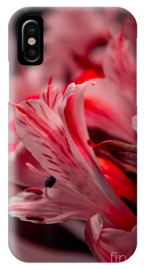 Adria Trail iPhone X Case featuring the photograph Red Freesia by Adria Trail