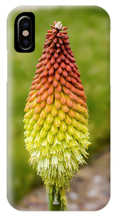 Red Hot Poker iPhone X Case featuring the digital art Red Hot Poker by Photographic Art by Russel Ray Photos