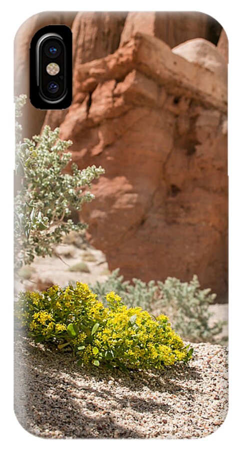 2014 iPhone X Case featuring the photograph Red Rock Blooming by Jan Davies