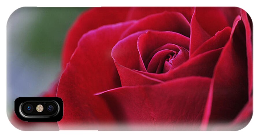Red iPhone X Case featuring the photograph Red Rose Close 1 by Roger Snyder