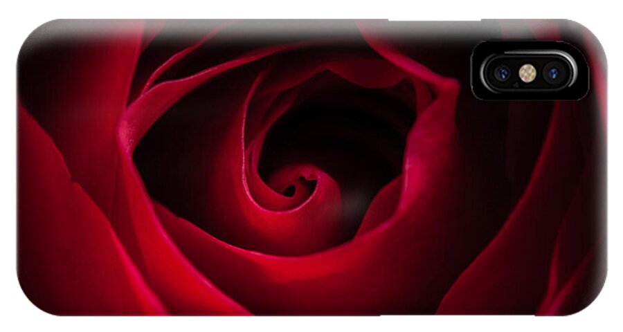 Flower iPhone X Case featuring the photograph Red Rose Square by Matt Malloy