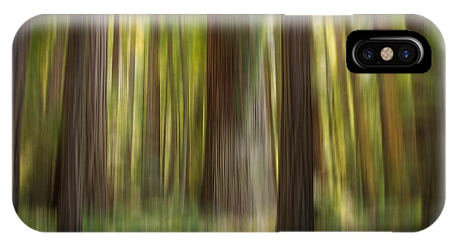 Fine Art iPhone X Case featuring the photograph Redwood Dream by Carrie Cole
