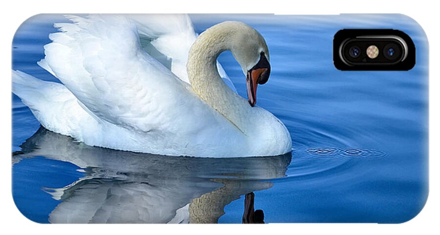 White Swan iPhone X Case featuring the photograph Reflecting by Deb Halloran