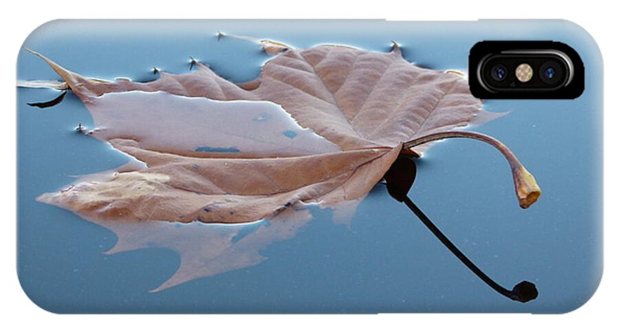 Leaf Reflection iPhone X Case featuring the photograph Reflection by Jane Ford