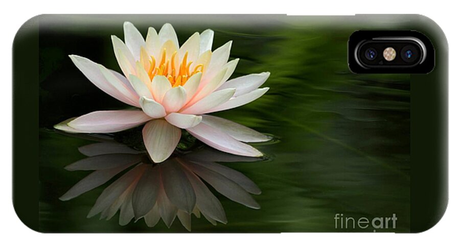 White iPhone X Case featuring the photograph Reflections of a Water Lily by Sabrina L Ryan