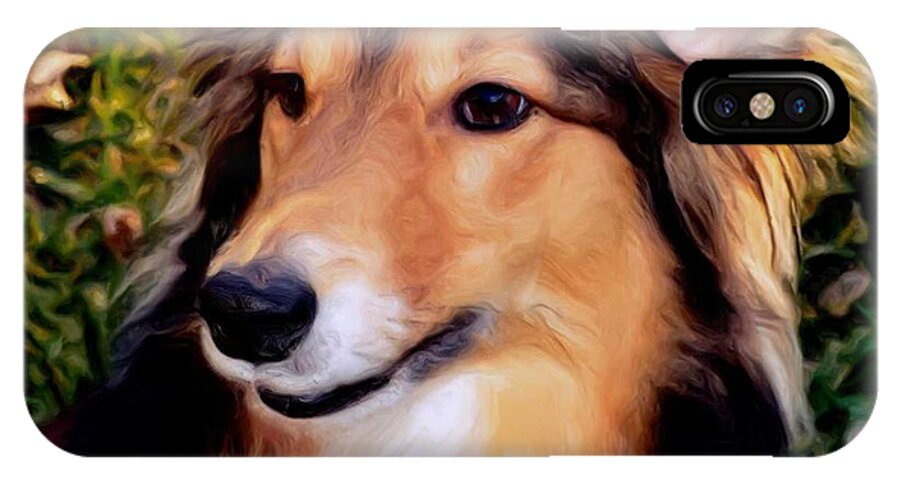 Collie iPhone X Case featuring the photograph Regal Shelter Dog by Luther Fine Art