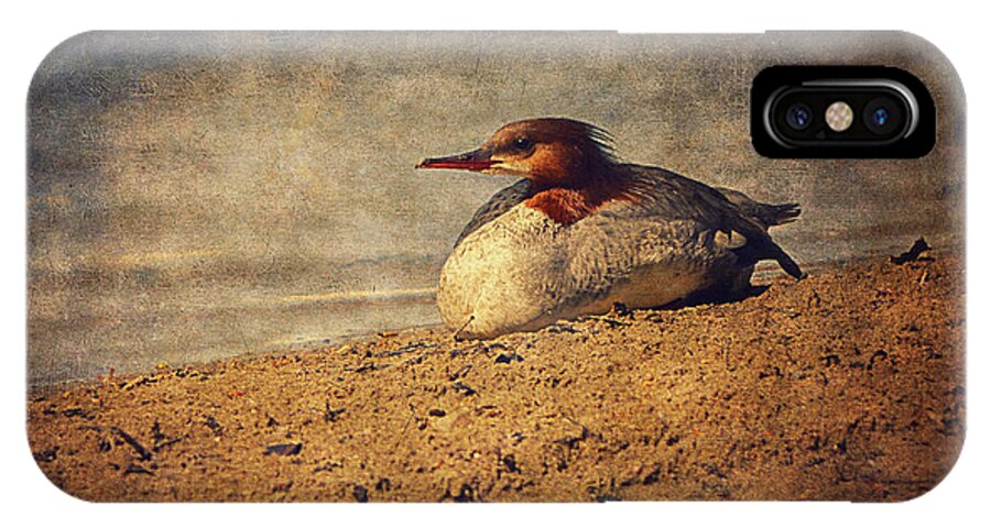 Merganser iPhone X Case featuring the photograph Relaxing Under The Sun by Maria Angelica Maira
