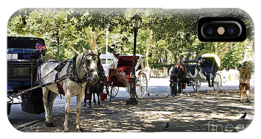 Horses iPhone X Case featuring the photograph Rest Stop - Central Park by Madeline Ellis