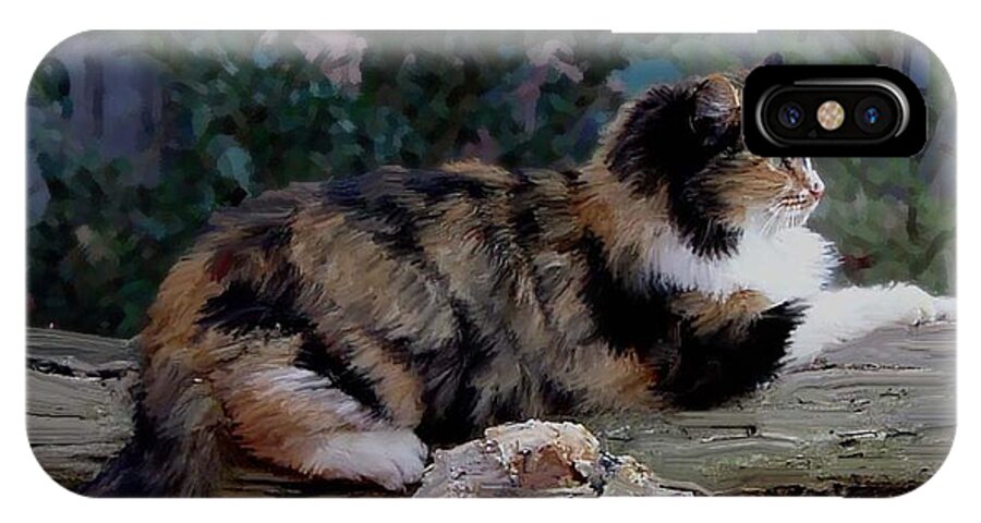 Cat iPhone X Case featuring the photograph Resting Calico Cat by Lesa Fine