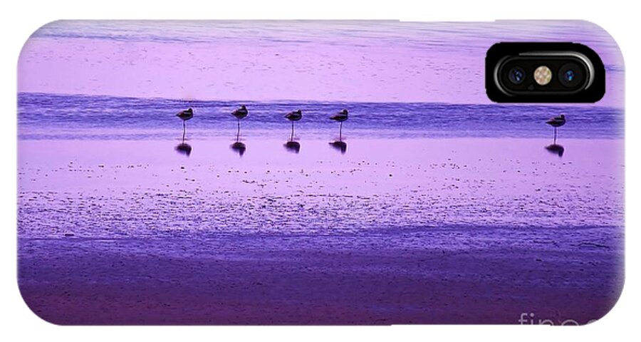American Avocets iPhone X Case featuring the photograph Avocets Resting in the Sunset by Michele Penner
