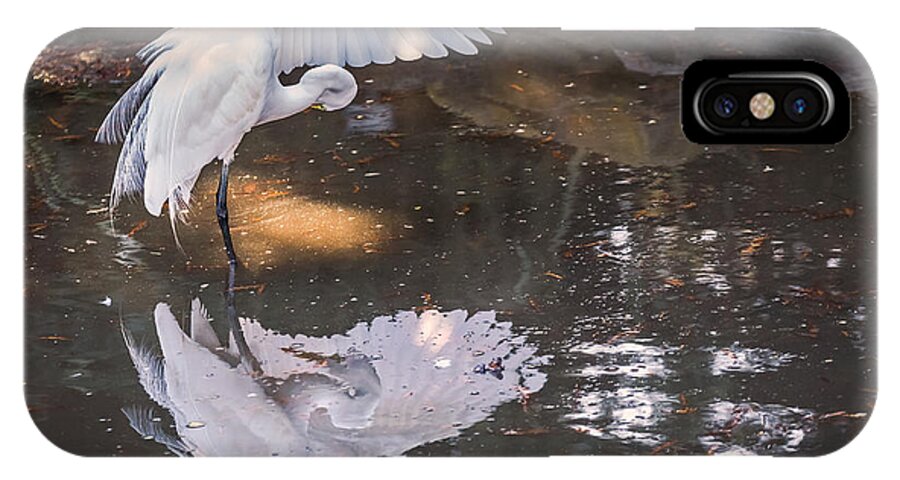 Ardea Alba iPhone X Case featuring the photograph Revealed Landscape by Kate Brown