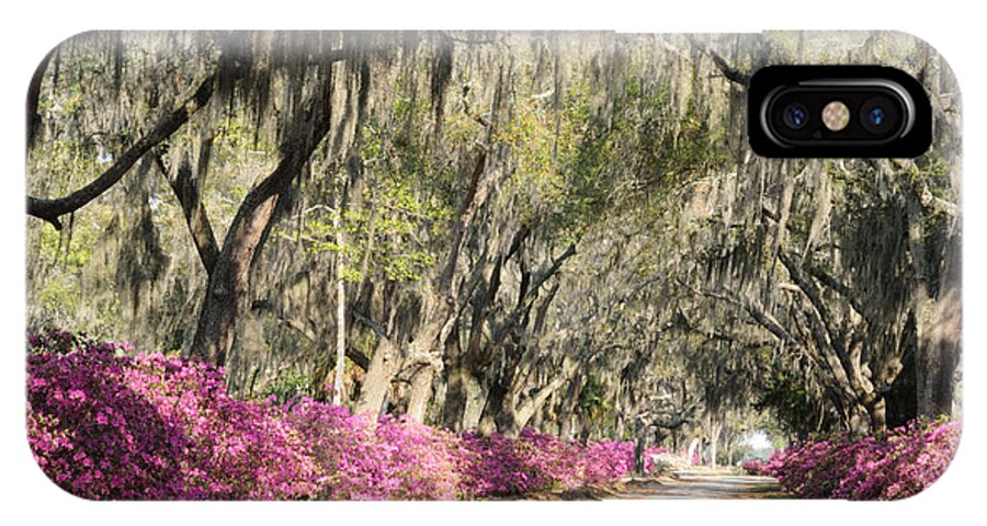 Road iPhone X Case featuring the photograph Road with Azaleas and Live Oaks by Bradford Martin