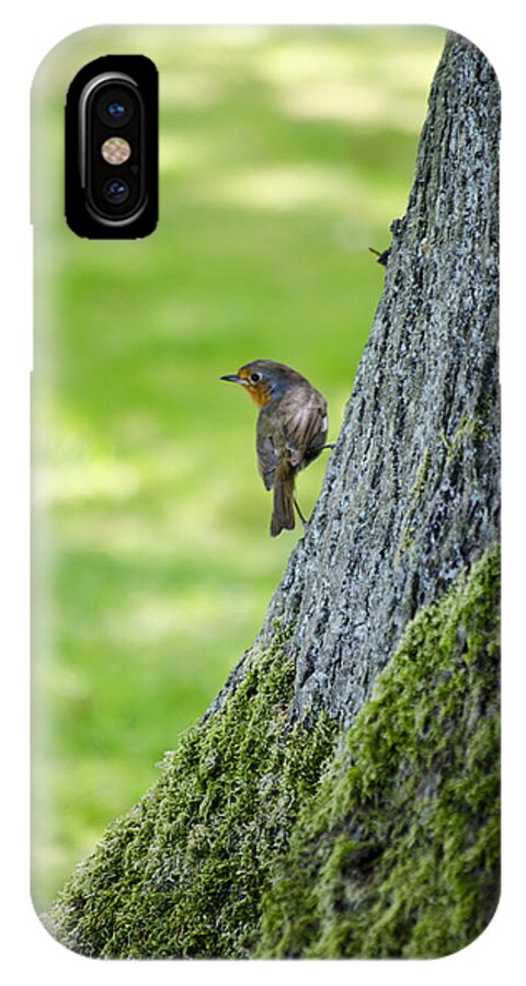 Garden iPhone X Case featuring the photograph Robin At Rest by Spikey Mouse Photography