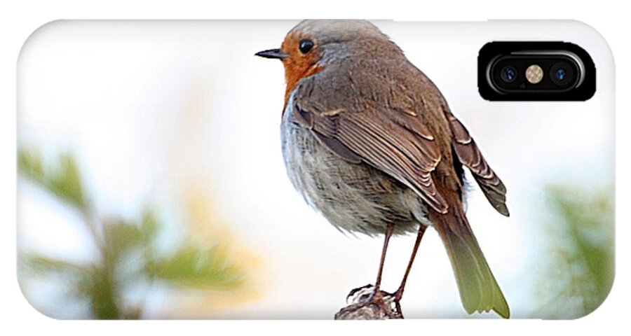 Canon iPhone X Case featuring the photograph Robin on a Pole by Jeremy Hayden