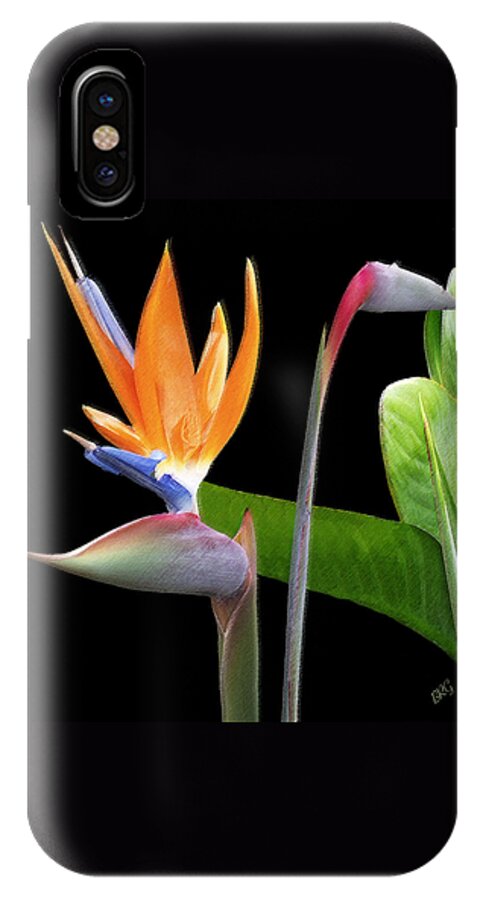 Tropical Flower iPhone X Case featuring the photograph Royal Beauty II - Bird Of Paradise by Ben and Raisa Gertsberg