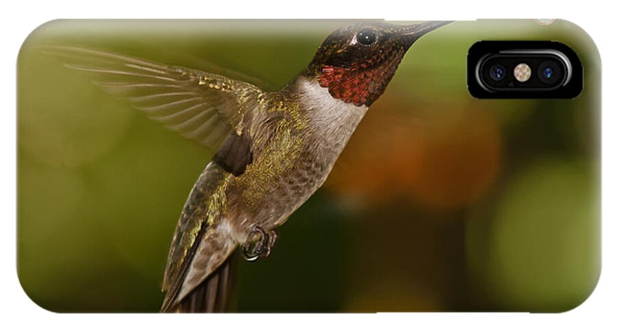 Ruby-throated Hummingbird iPhone X Case featuring the photograph Ruby-Throat Hummingbird by Robert L Jackson
