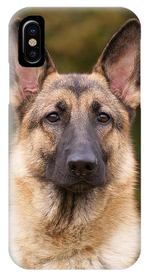 German Shepherd iPhone X Case featuring the photograph Sable German Shepherd Dog by Sandy Keeton
